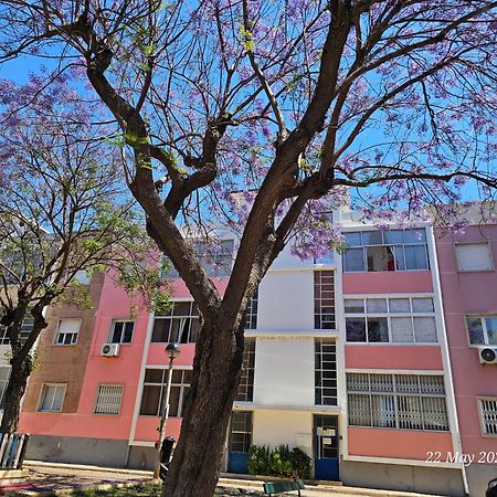 פארו Blife Farensya Private Rooms מראה חיצוני תמונה