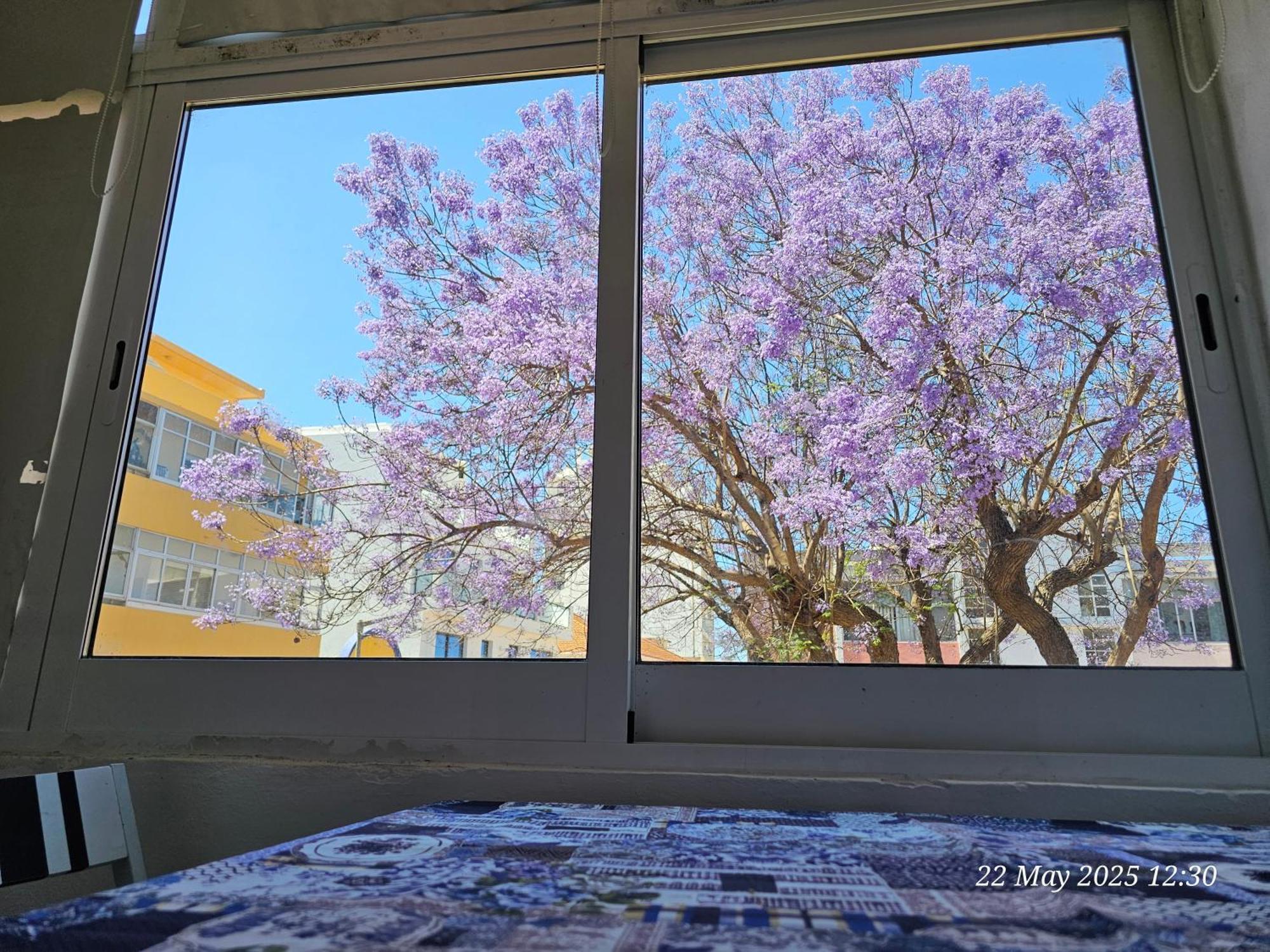 פארו Blife Farensya Private Rooms מראה חיצוני תמונה